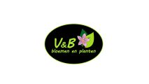 V&B bloemen en planten