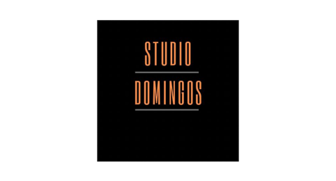 Sportschool Studio Domingos - Entjes Administratie & Advies - 2023